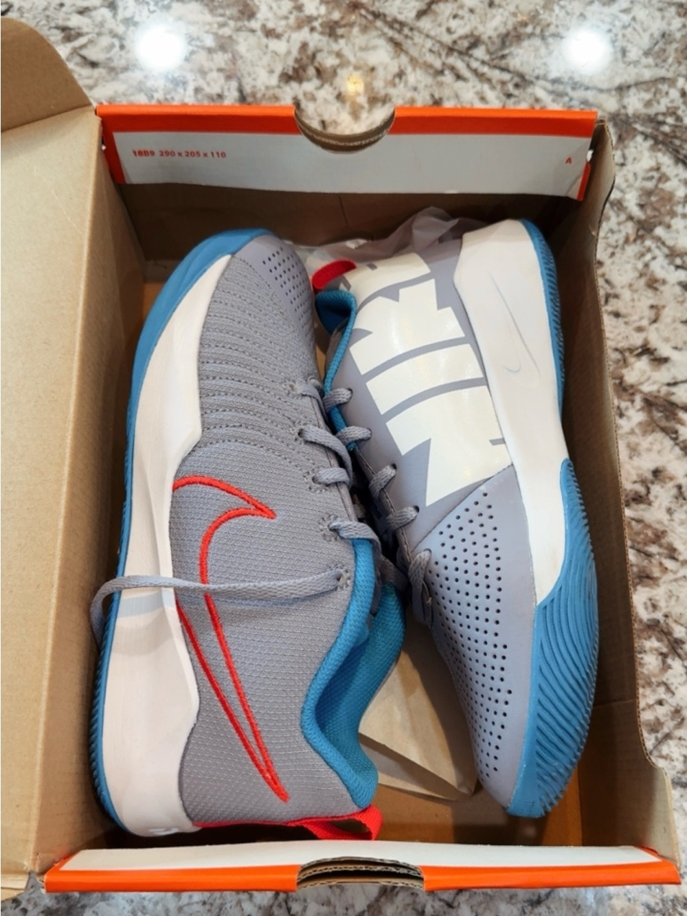 Nike Kids Gray, Blue & Red Low-Top Sneakers